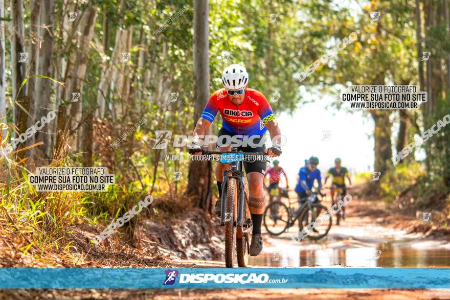 8ª Ultramaratona Pata de Onça - Domingo