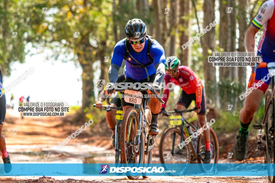 8ª Ultramaratona Pata de Onça - Domingo