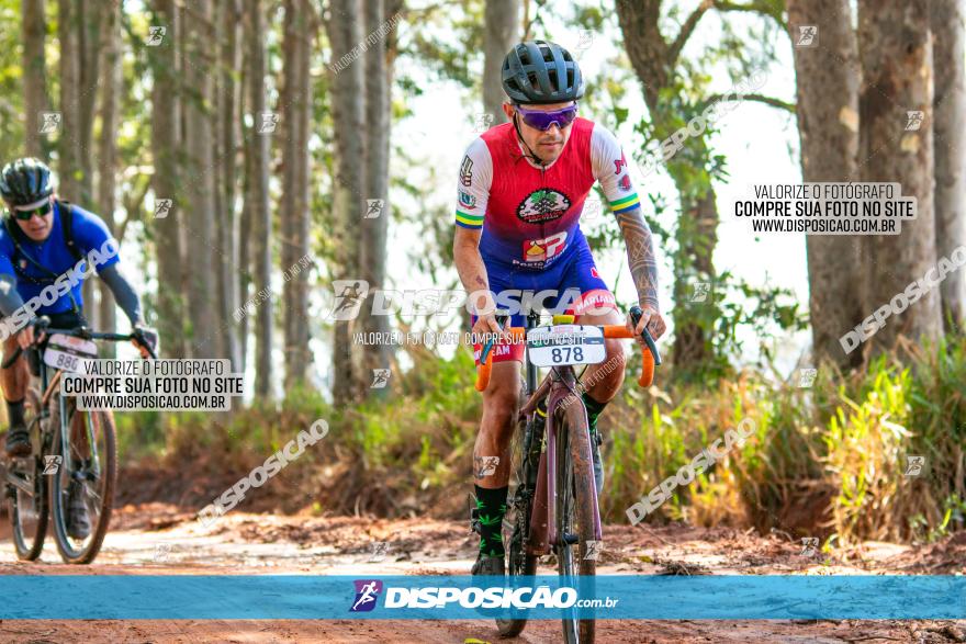 8ª Ultramaratona Pata de Onça - Domingo