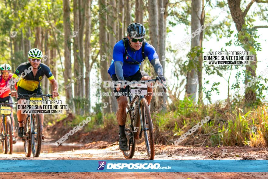 8ª Ultramaratona Pata de Onça - Domingo