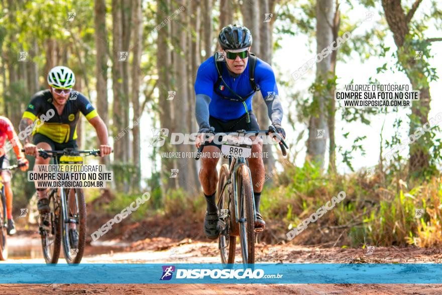 8ª Ultramaratona Pata de Onça - Domingo