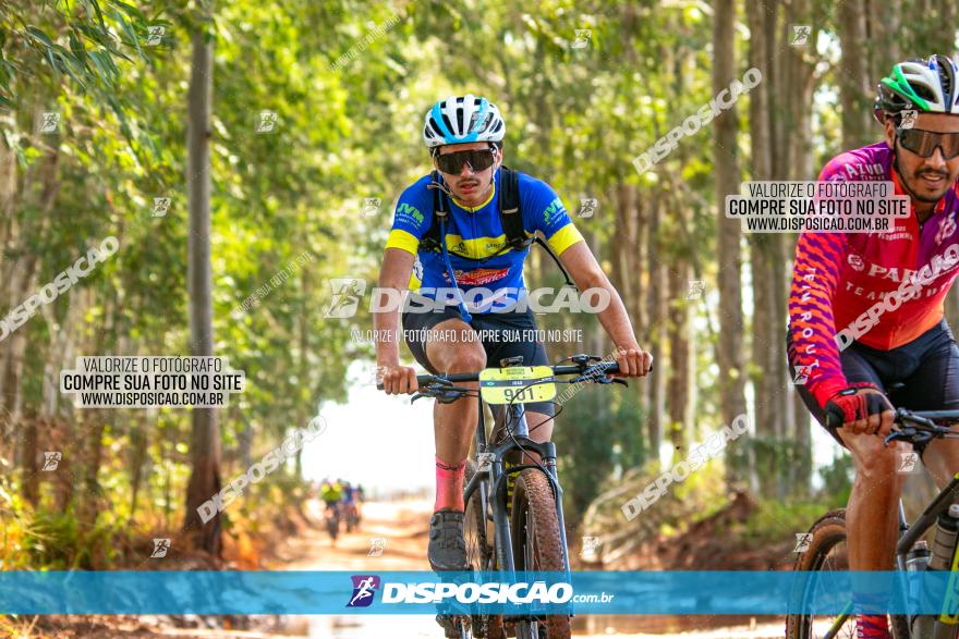 8ª Ultramaratona Pata de Onça - Domingo