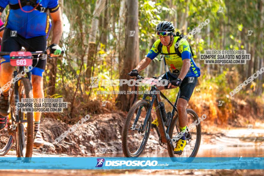 8ª Ultramaratona Pata de Onça - Domingo