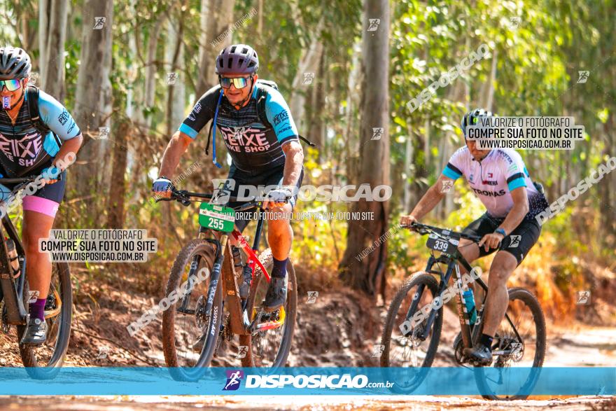 8ª Ultramaratona Pata de Onça - Domingo