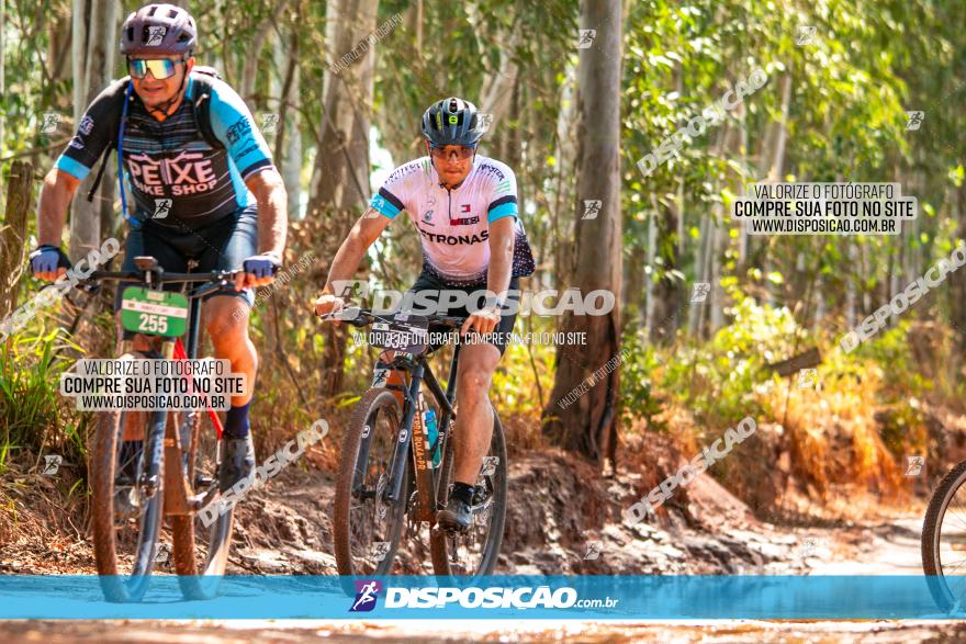 8ª Ultramaratona Pata de Onça - Domingo