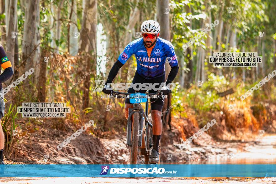 8ª Ultramaratona Pata de Onça - Domingo