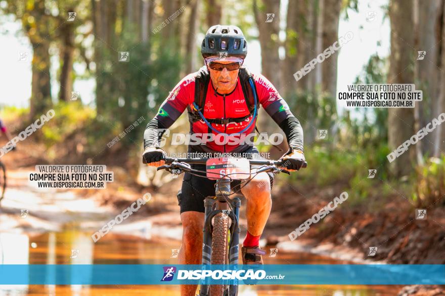 8ª Ultramaratona Pata de Onça - Domingo