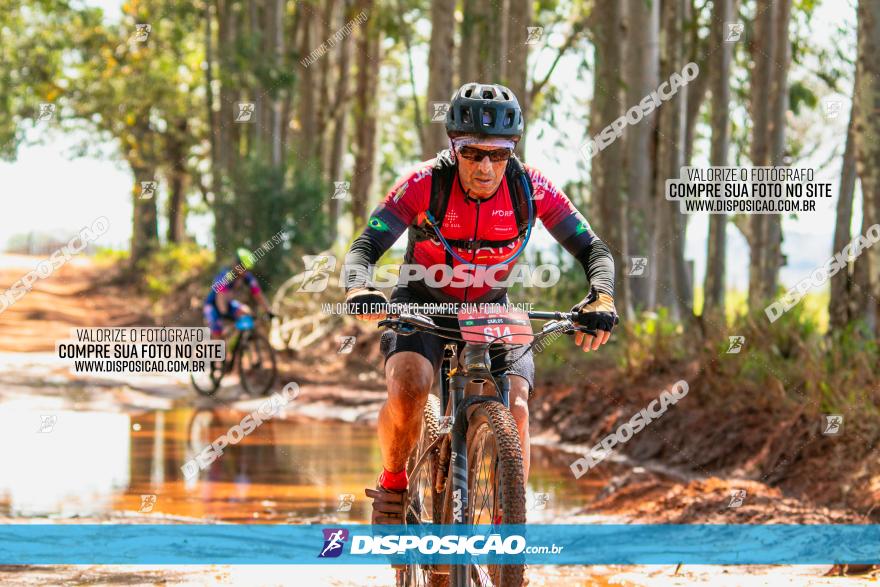 8ª Ultramaratona Pata de Onça - Domingo