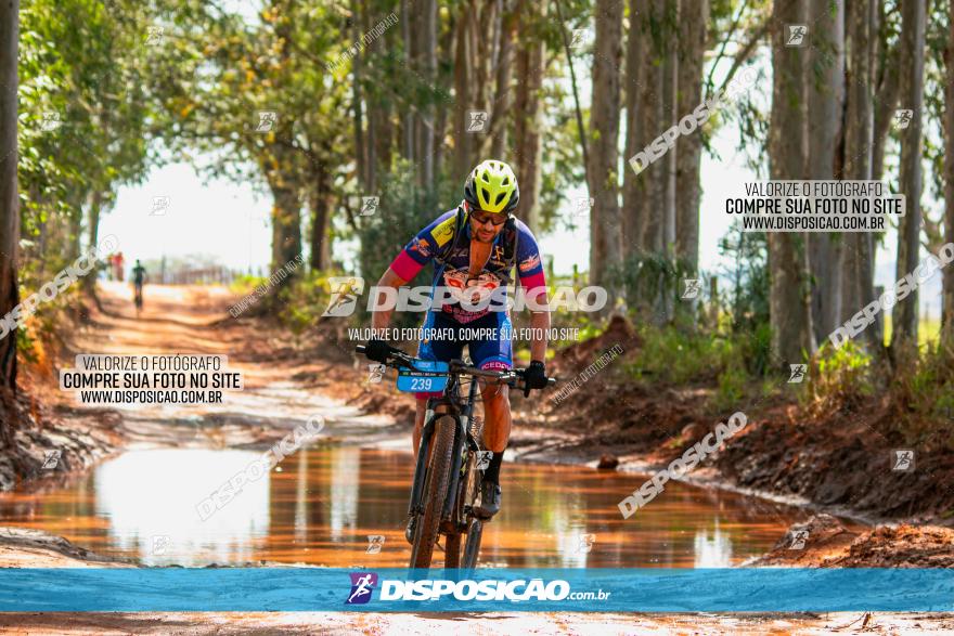 8ª Ultramaratona Pata de Onça - Domingo