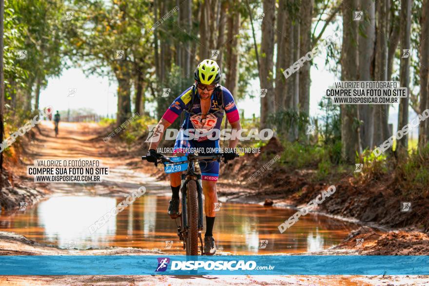 8ª Ultramaratona Pata de Onça - Domingo