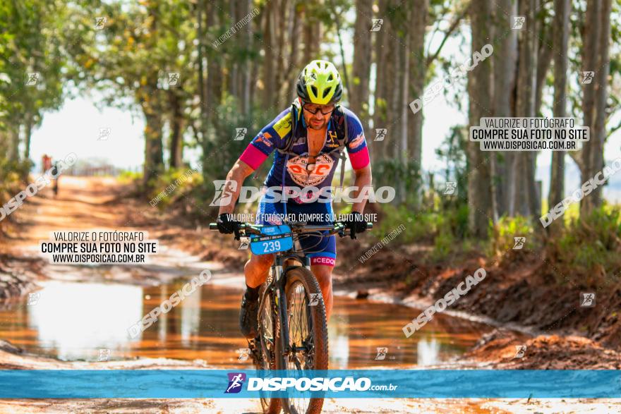 8ª Ultramaratona Pata de Onça - Domingo