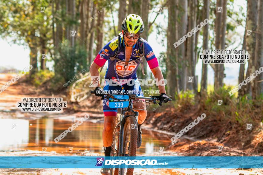 8ª Ultramaratona Pata de Onça - Domingo