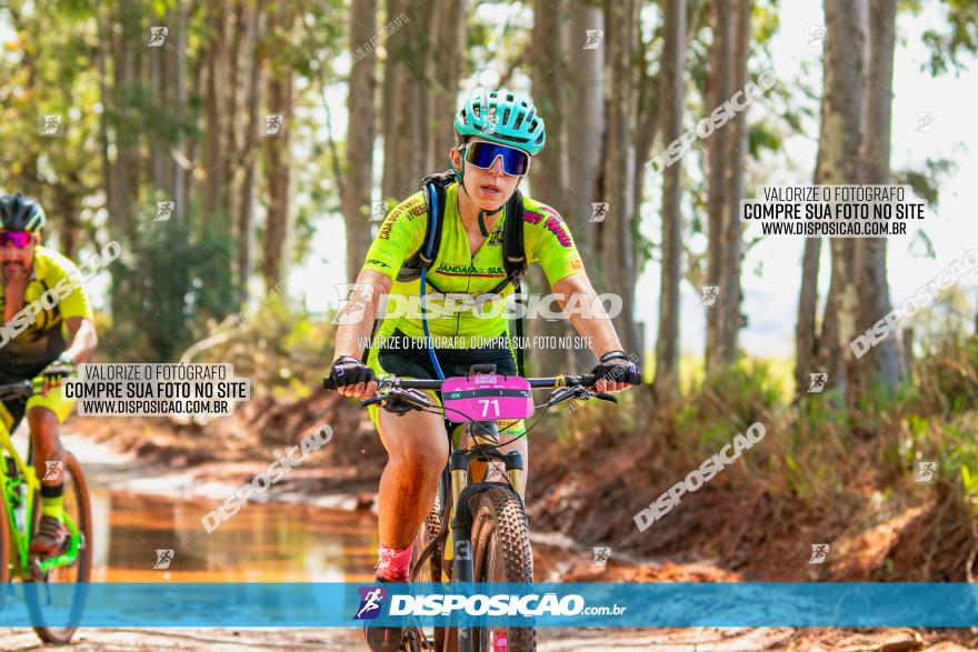 8ª Ultramaratona Pata de Onça - Domingo