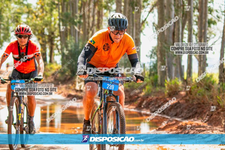 8ª Ultramaratona Pata de Onça - Domingo