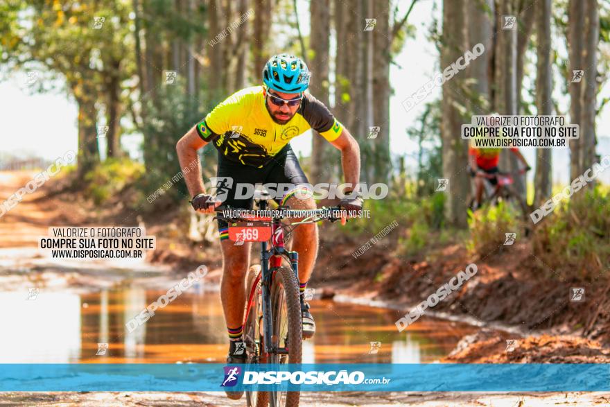 8ª Ultramaratona Pata de Onça - Domingo