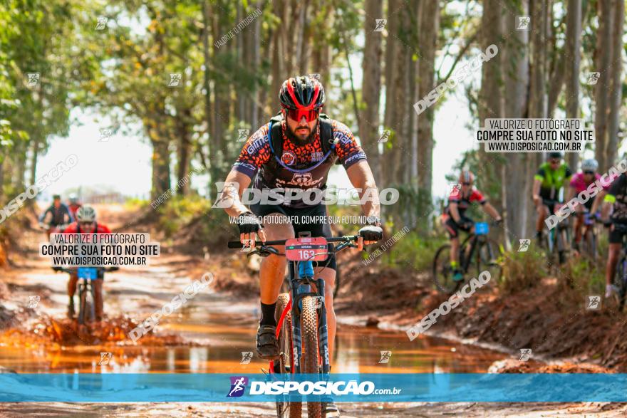 8ª Ultramaratona Pata de Onça - Domingo