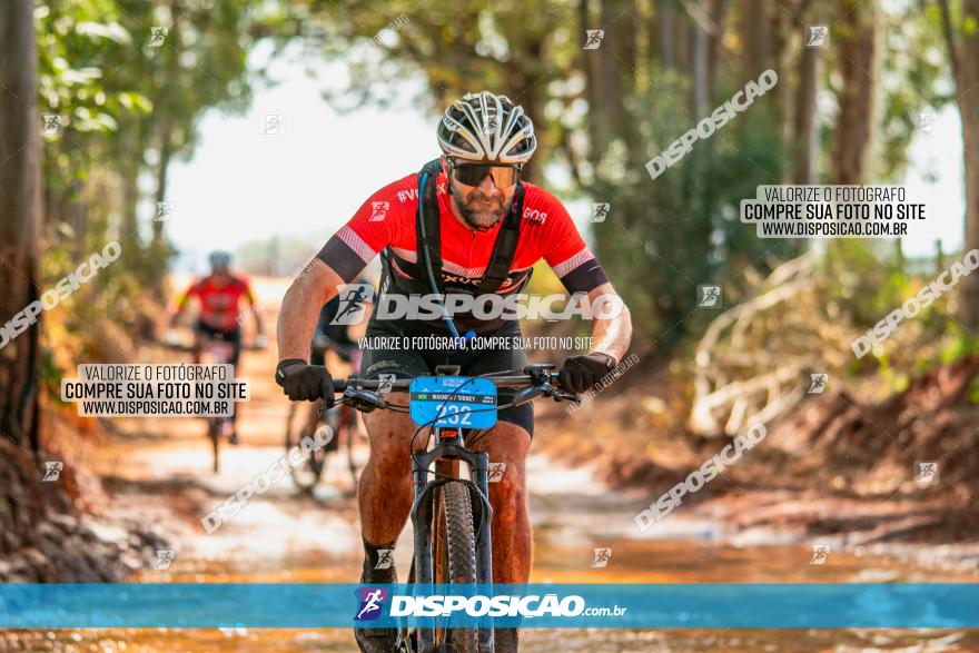 8ª Ultramaratona Pata de Onça - Domingo