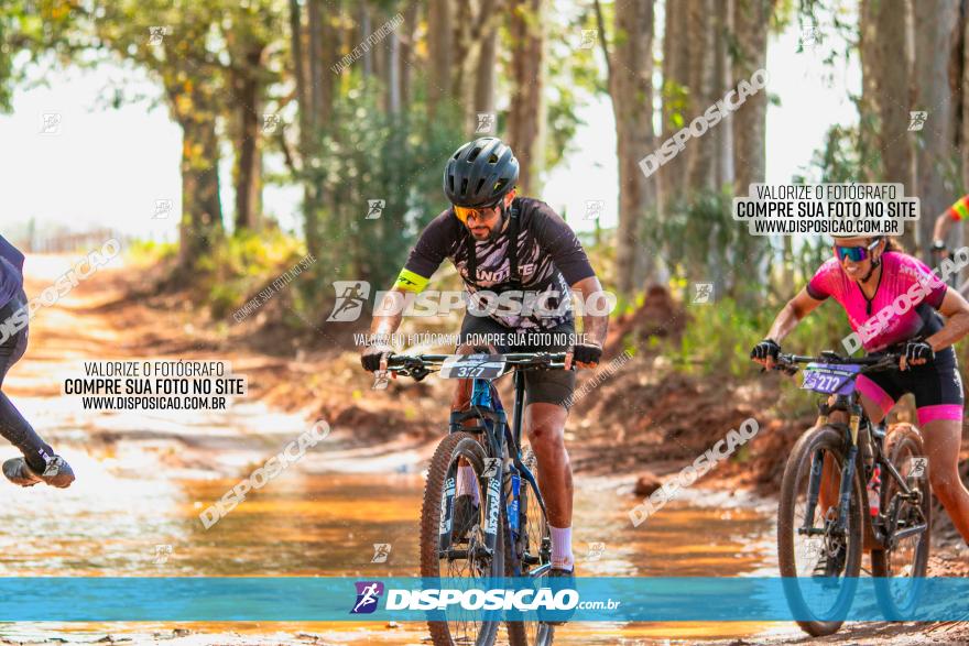 8ª Ultramaratona Pata de Onça - Domingo