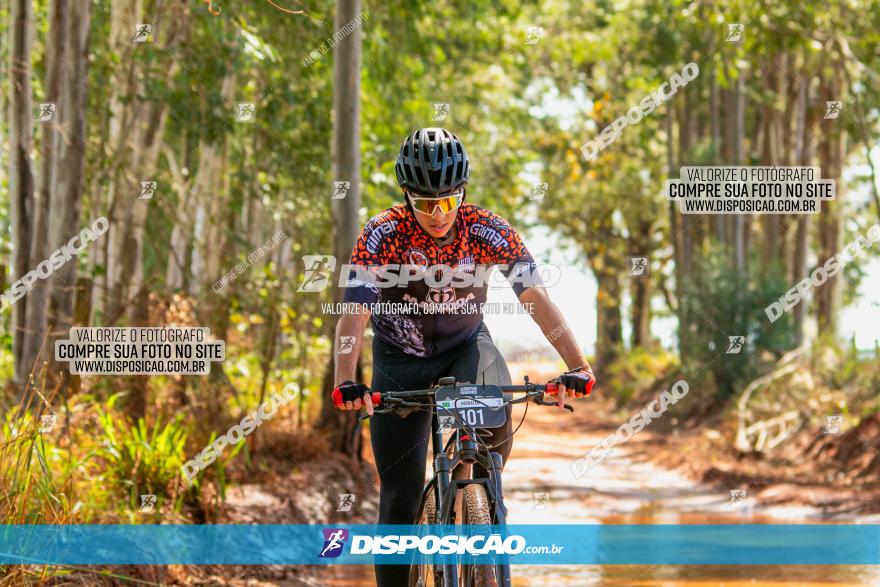 8ª Ultramaratona Pata de Onça - Domingo