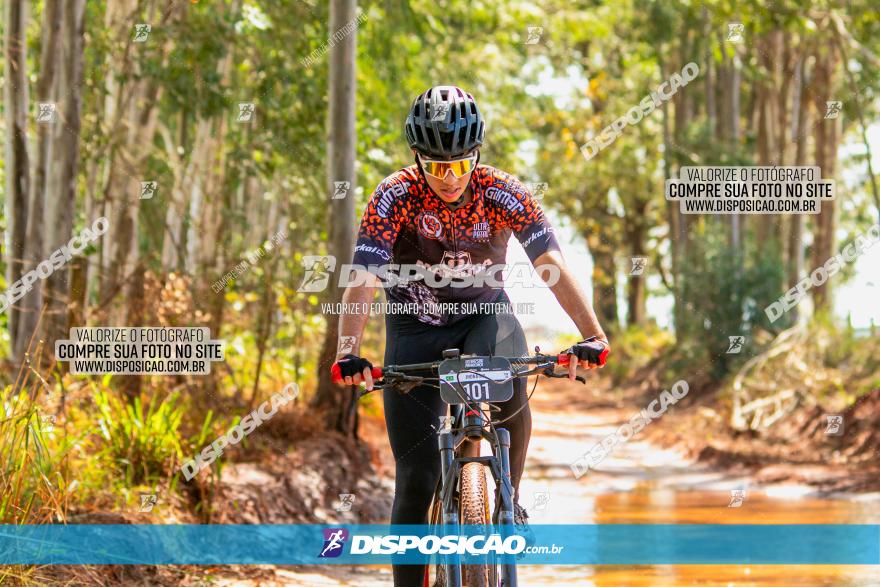 8ª Ultramaratona Pata de Onça - Domingo