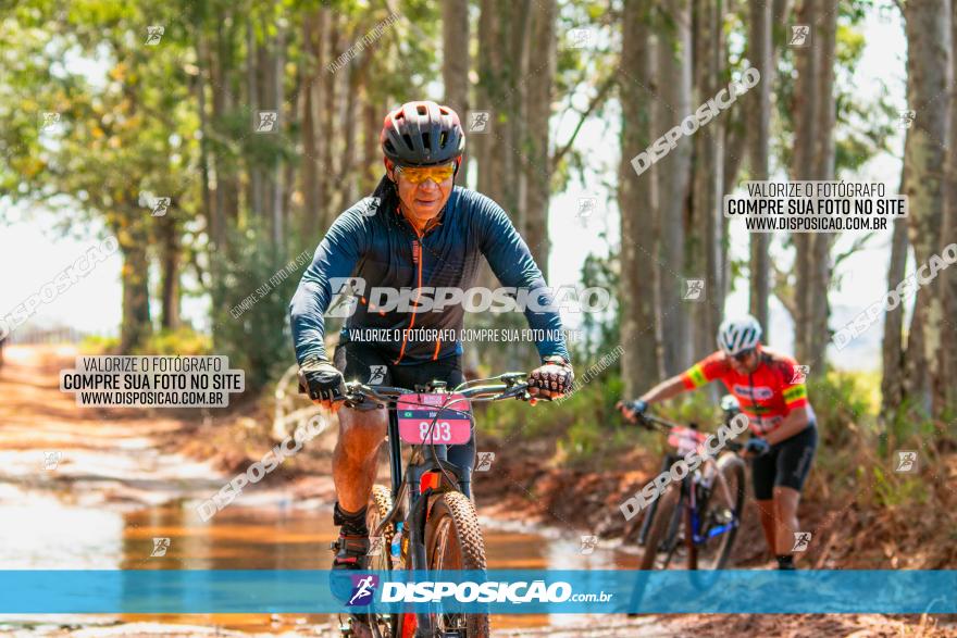 8ª Ultramaratona Pata de Onça - Domingo