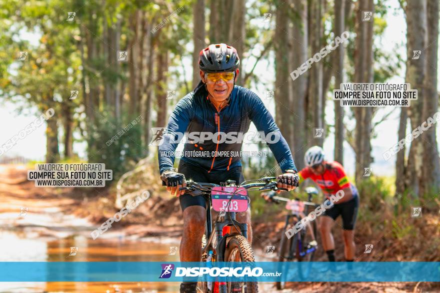 8ª Ultramaratona Pata de Onça - Domingo