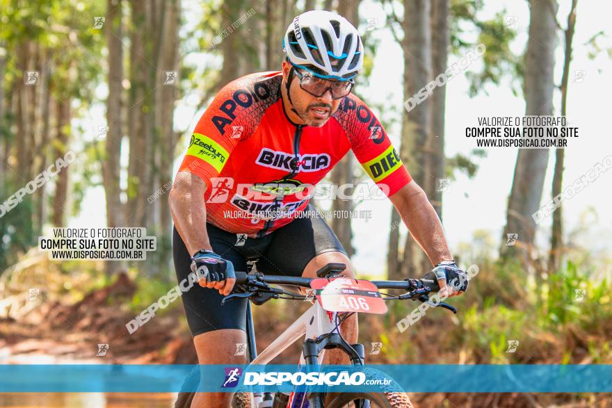 8ª Ultramaratona Pata de Onça - Domingo