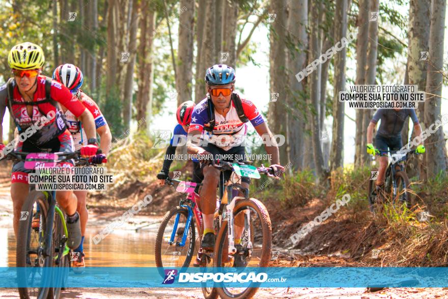 8ª Ultramaratona Pata de Onça - Domingo