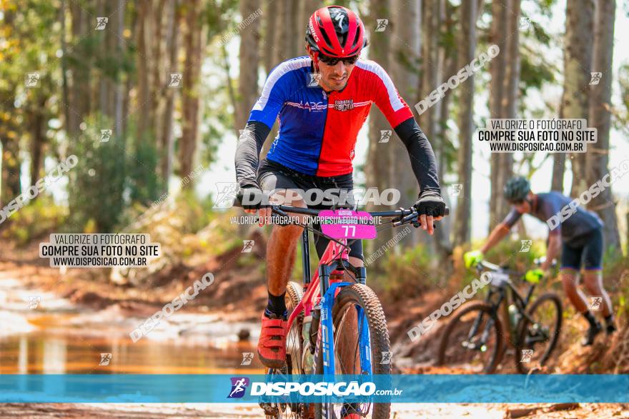 8ª Ultramaratona Pata de Onça - Domingo