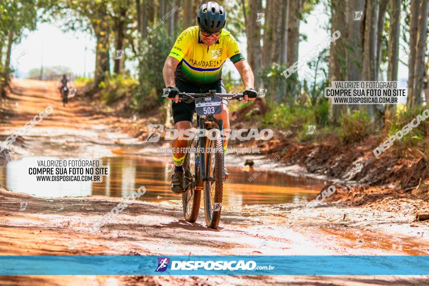 8ª Ultramaratona Pata de Onça - Domingo