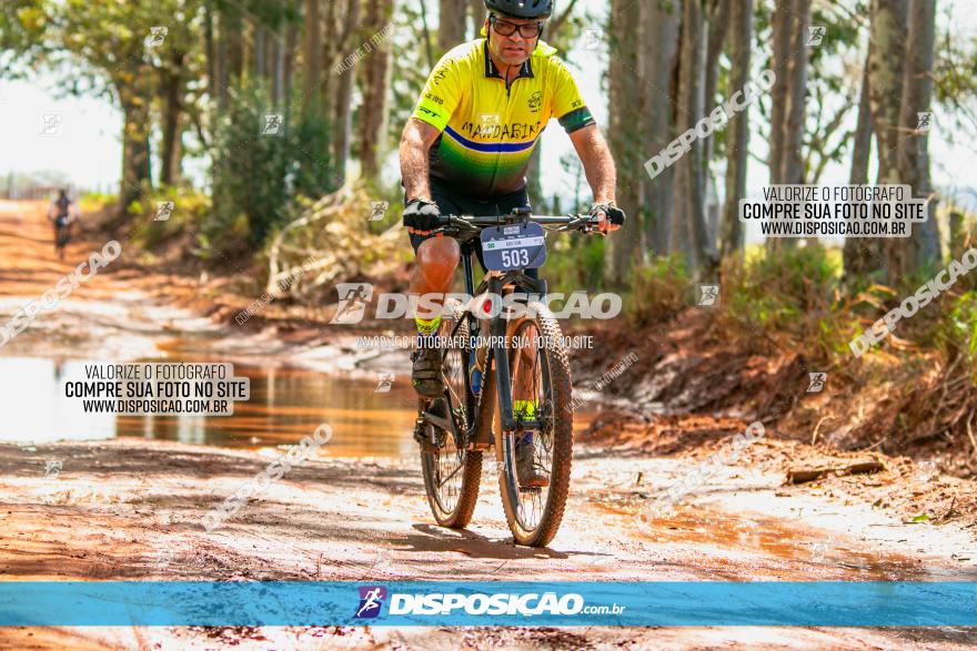 8ª Ultramaratona Pata de Onça - Domingo