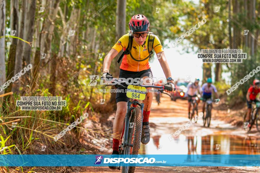 8ª Ultramaratona Pata de Onça - Domingo