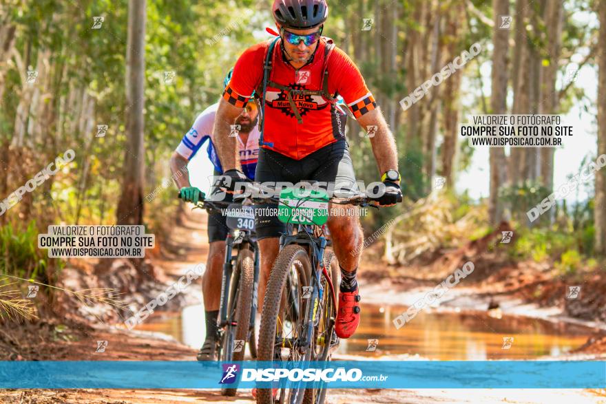 8ª Ultramaratona Pata de Onça - Domingo