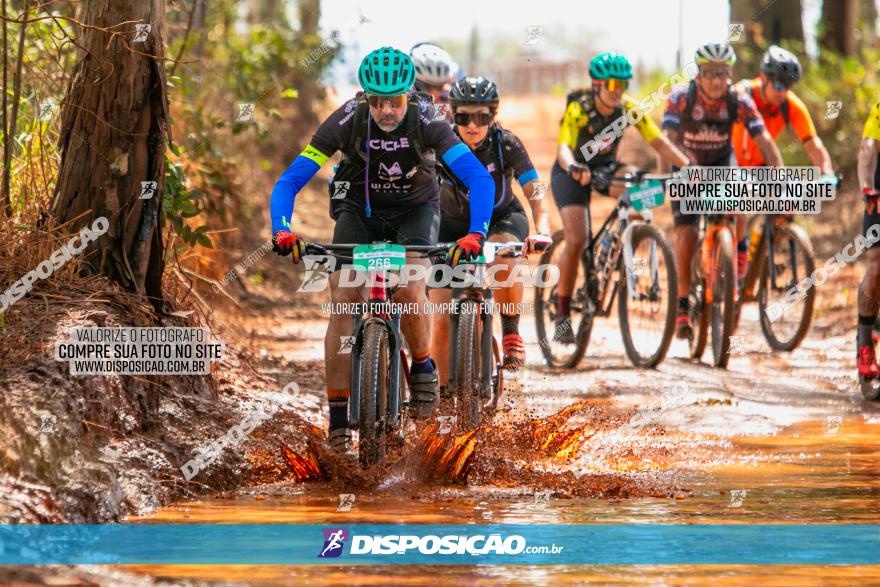 8ª Ultramaratona Pata de Onça - Domingo