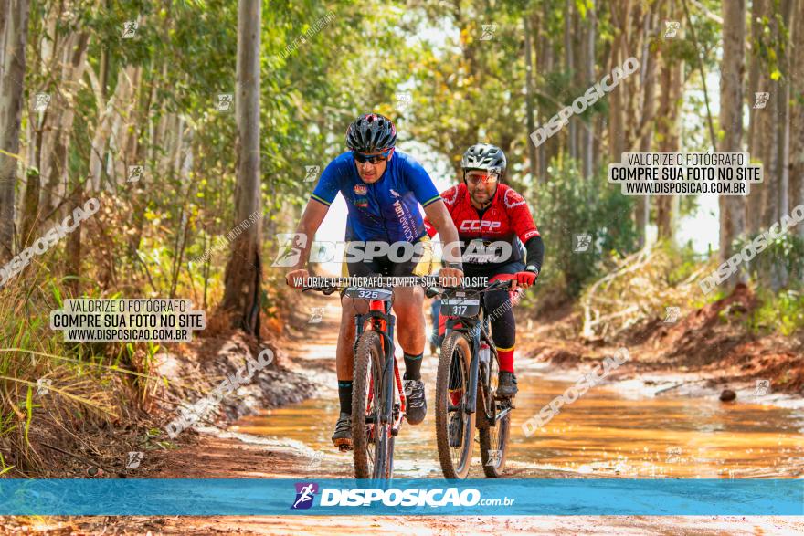 8ª Ultramaratona Pata de Onça - Domingo