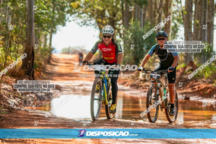 8ª Ultramaratona Pata de Onça - Domingo