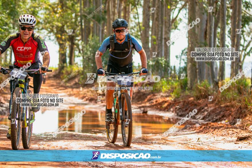 8ª Ultramaratona Pata de Onça - Domingo