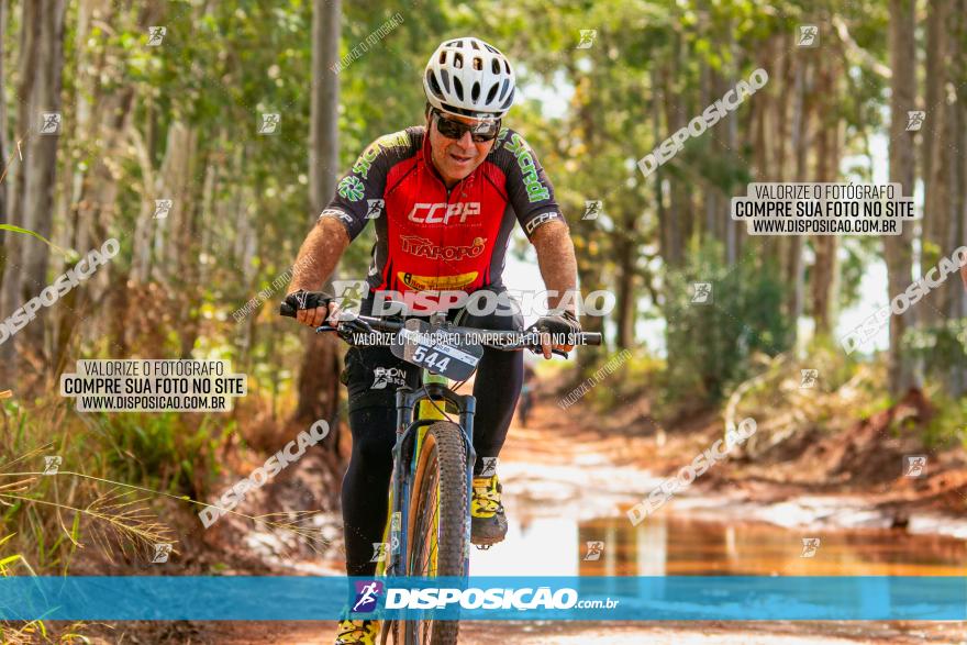 8ª Ultramaratona Pata de Onça - Domingo