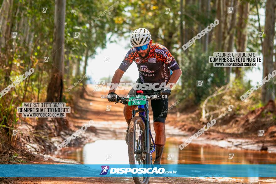 8ª Ultramaratona Pata de Onça - Domingo