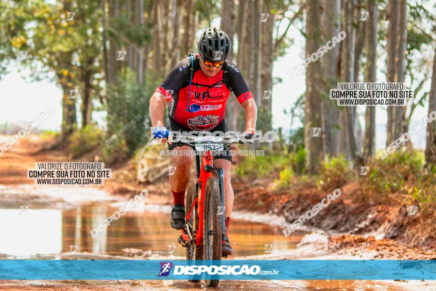 8ª Ultramaratona Pata de Onça - Domingo