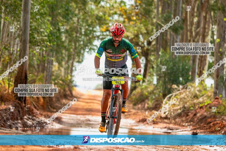 8ª Ultramaratona Pata de Onça - Domingo