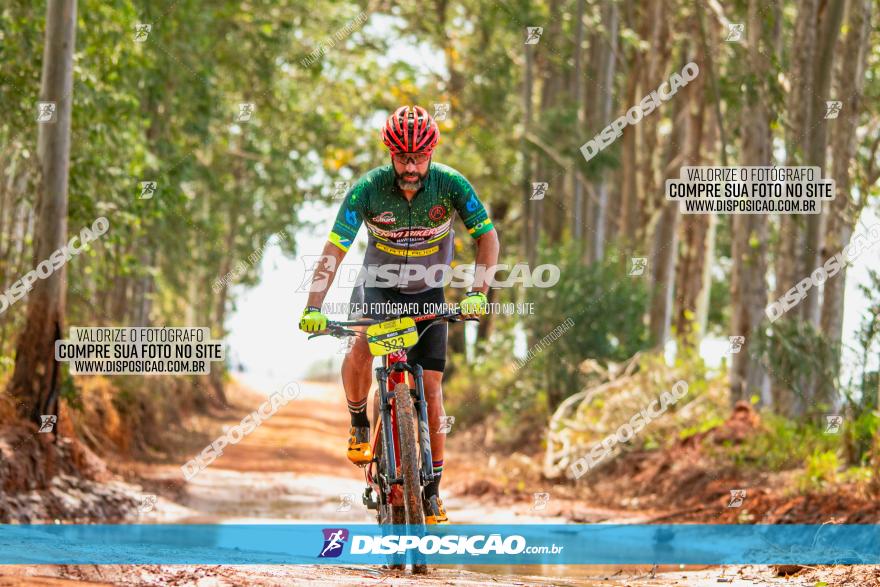 8ª Ultramaratona Pata de Onça - Domingo