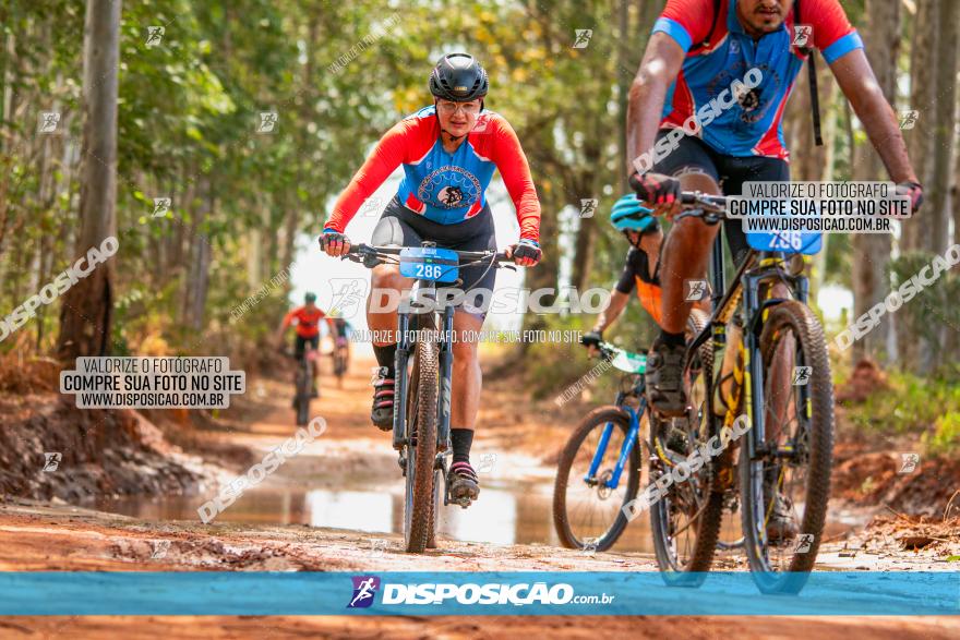 8ª Ultramaratona Pata de Onça - Domingo