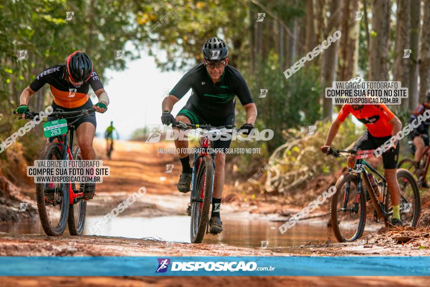 8ª Ultramaratona Pata de Onça - Domingo