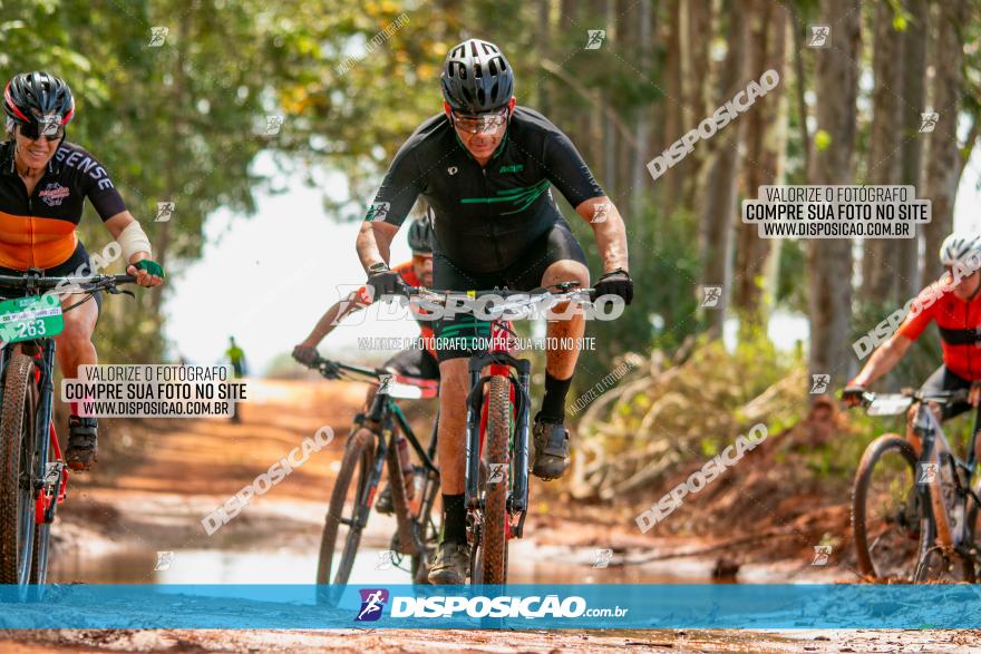 8ª Ultramaratona Pata de Onça - Domingo