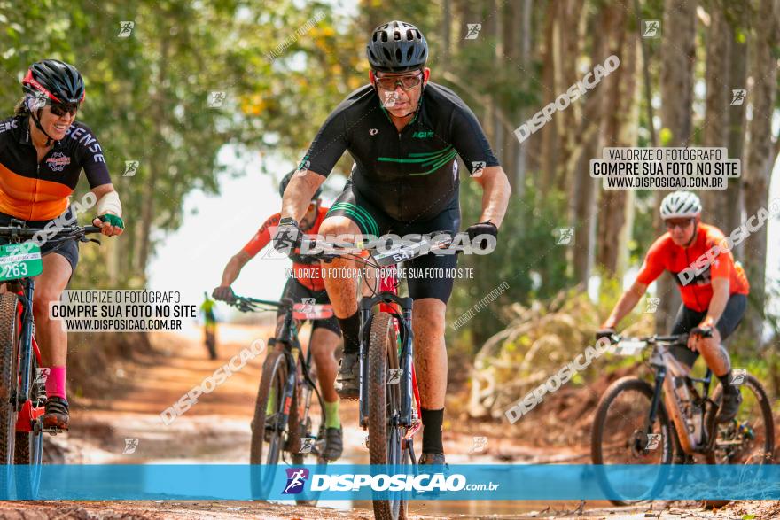 8ª Ultramaratona Pata de Onça - Domingo