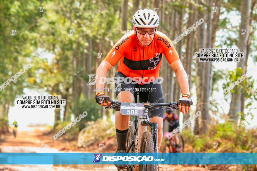 8ª Ultramaratona Pata de Onça - Domingo