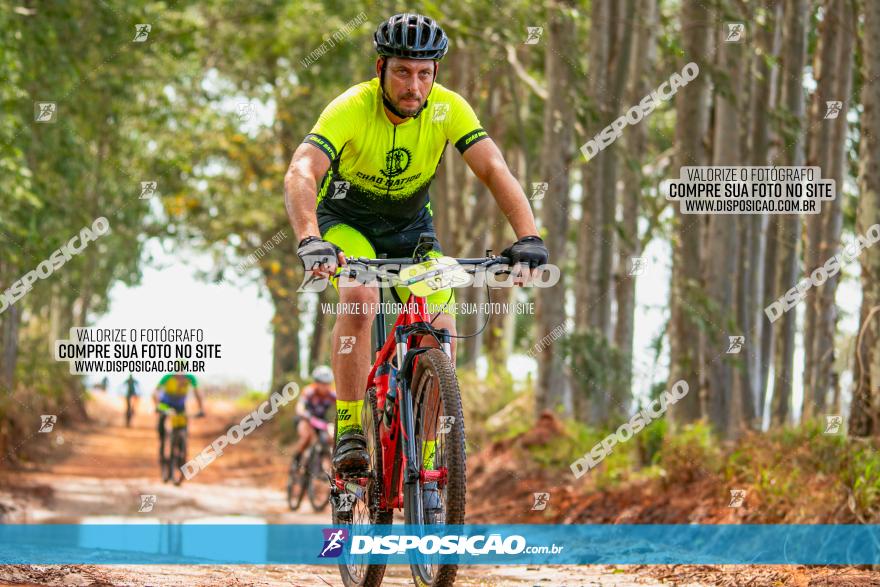 8ª Ultramaratona Pata de Onça - Domingo