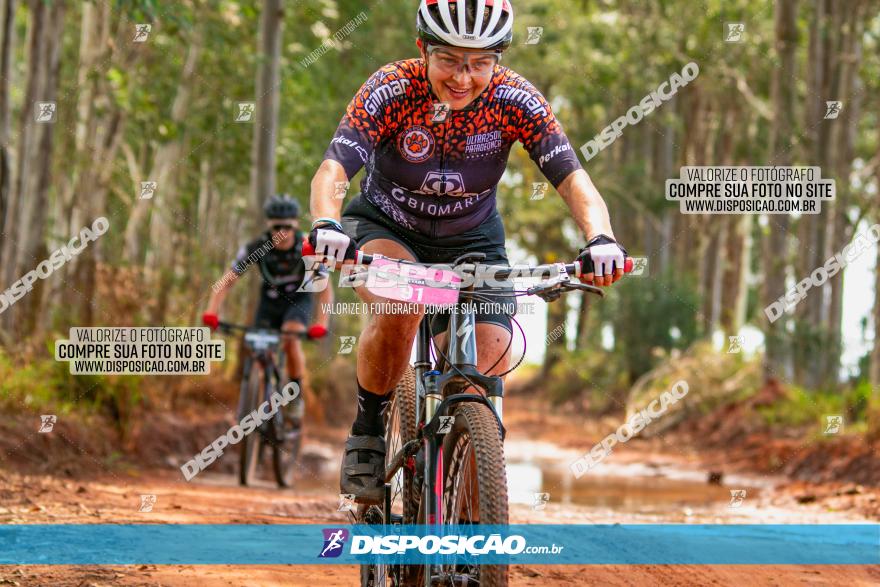 8ª Ultramaratona Pata de Onça - Domingo