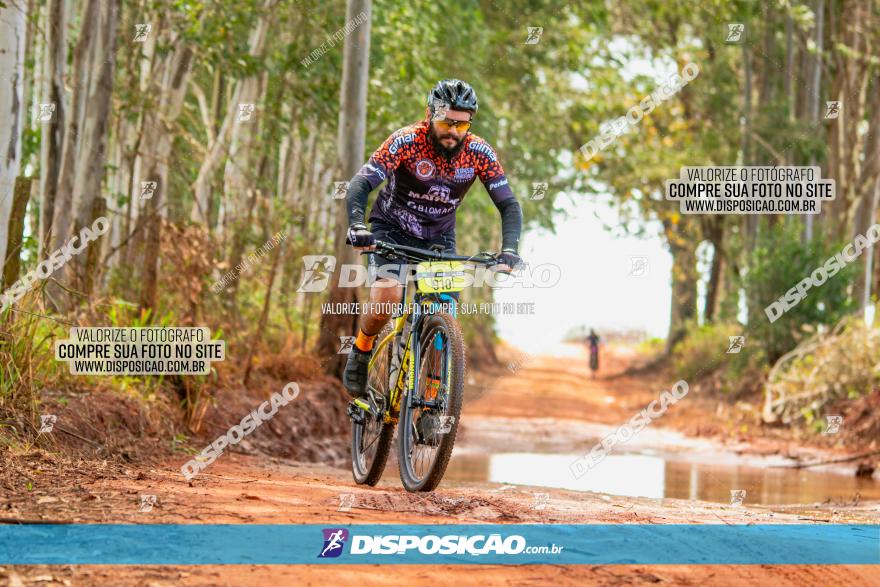 8ª Ultramaratona Pata de Onça - Domingo